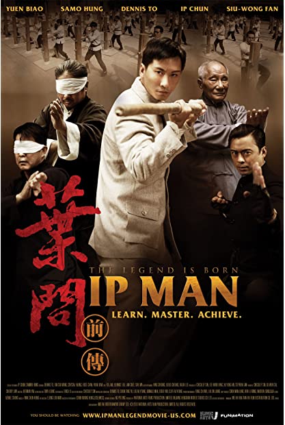 Ip Man The Legend Is Born (2010)