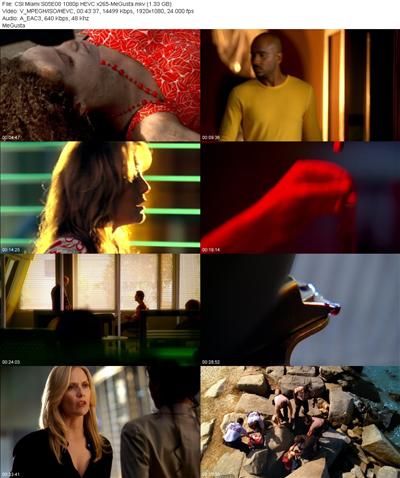 CSI Miami S05E08 1080p HEVC x265 