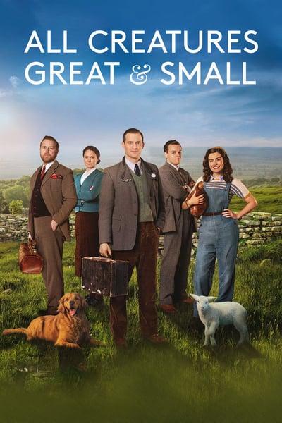 All Creatures Great and Small 2020 S02E05 720p HEVC x265 