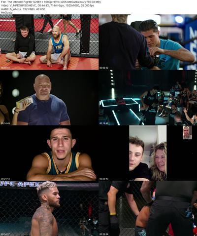 The Ultimate Fighter S29E11 1080p HEVC x265 