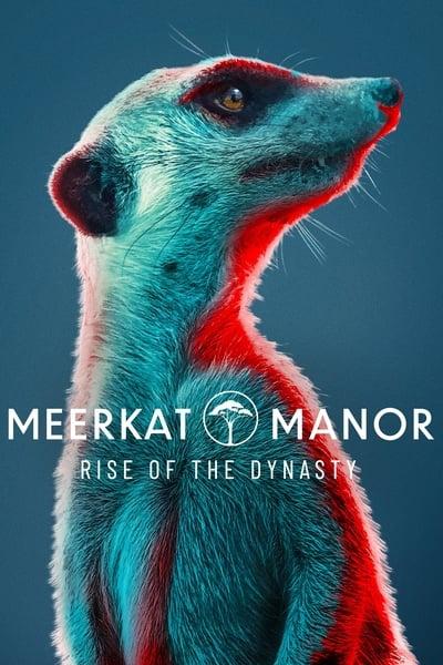 Meerkat Manor Rise of the Dynasty S01E12 1080p HEVC x265 