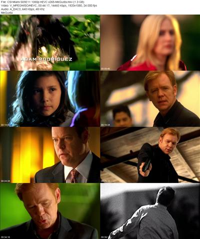 CSI Miami S05E11 1080p HEVC x265 