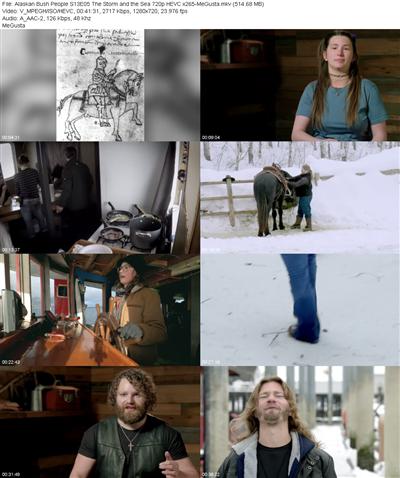 Alaskan Bush People S13E05 The Storm and the Sea 720p HEVC x265 