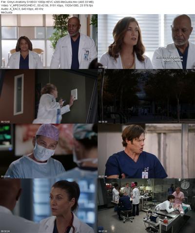 Greys Anatomy S18E03 1080p HEVC x265 