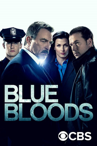 Blue Bloods Crime Scene New York S11E05 German Dl 720P Web X264-Wayne