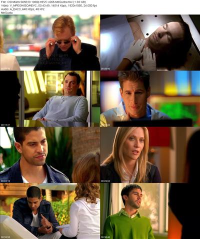 CSI Miami S05E20 1080p HEVC x265 