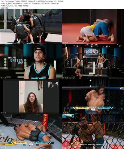 The Ultimate Fighter S29E10 1080p HEVC x265 