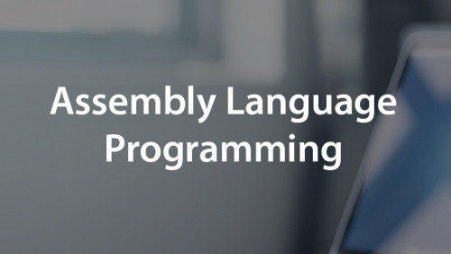 VTC Assembly Language Programming
