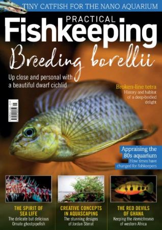 Practical Fishkeeping   November 2021