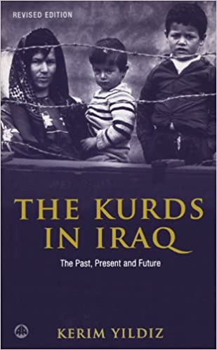 The Kurds in Iraq: The Past, Present and Future, Second Edition
