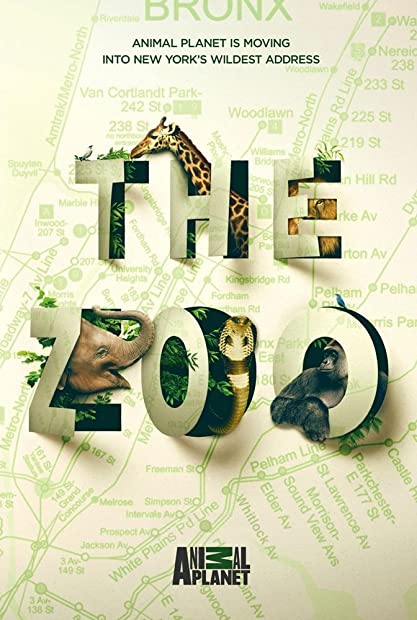 The Zoo US S05E03 New Cats on the Block 720p WEBRip x264-KOMPOST
