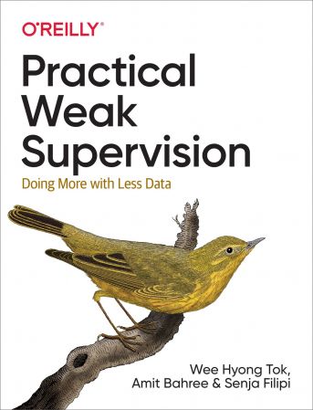 Practical Weak Supervision: Doing More with Less Data (True EPUB)