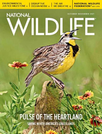 National Wildlife   October/November 2021