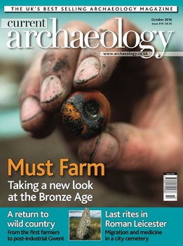 Current Archaeology 2016-10 (319)