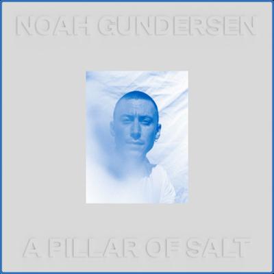 (2021) Noah Gundersen   A Pillar of Salt [FLAC]