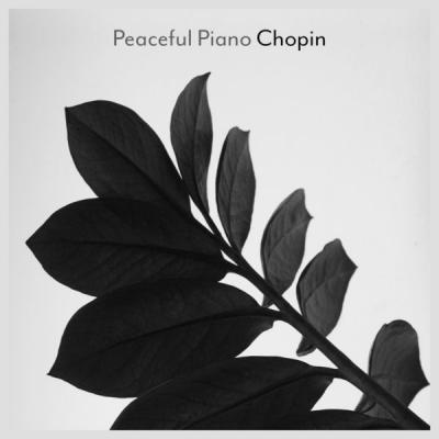 Various Artists   Peaceful Piano   Chopin (2021)