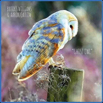 (2021) Brooks Williams & Aaron Catlow   Ghost Owl [FLAC]