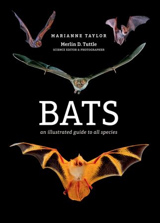 Bats: An illustrated guide to all species (True EPUB)