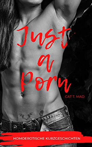 Cover: Cat T  Mad - Just a Porn - Homoerotische Kurzgeschichten
