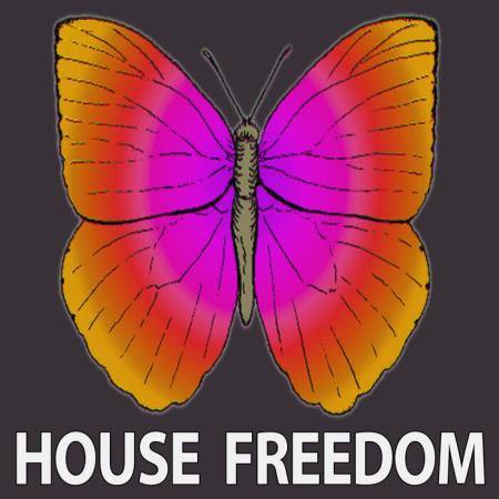 Сборник House Freedom - Deep Color (2021)