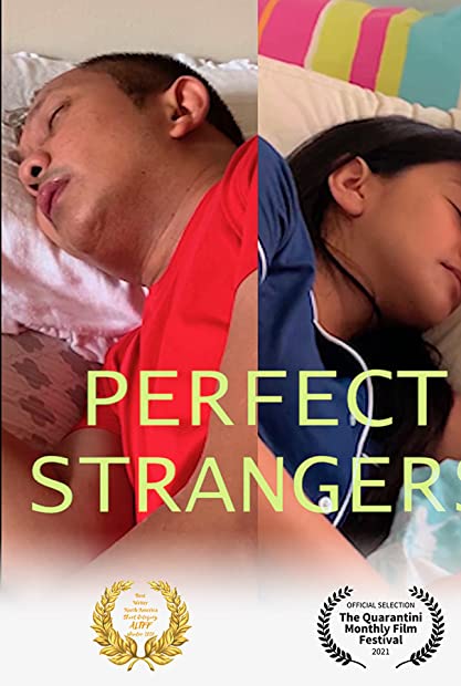 Perfect Strangers 2020 720p BluRay 800MB x264-GalaxyRG