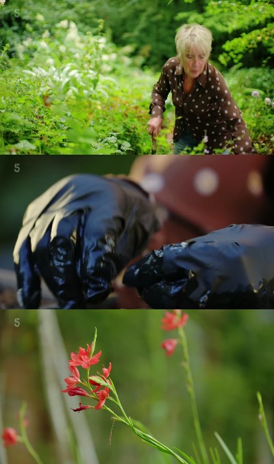 Autumn Gardening with Carol Klein S03E03 1080p HEVC x265-MeGusta