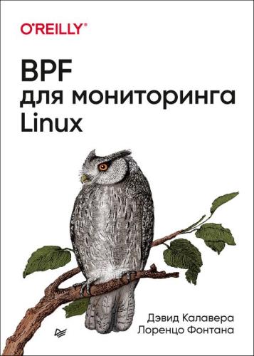 Лоренцо Фонтана, Дэвид Калавера - BPF для мониторинга Linux