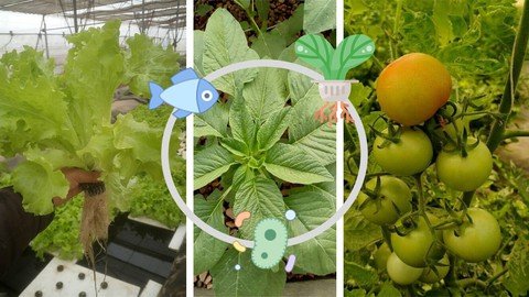 Udemy - Aquaponic System Farming and Gardening Design Course