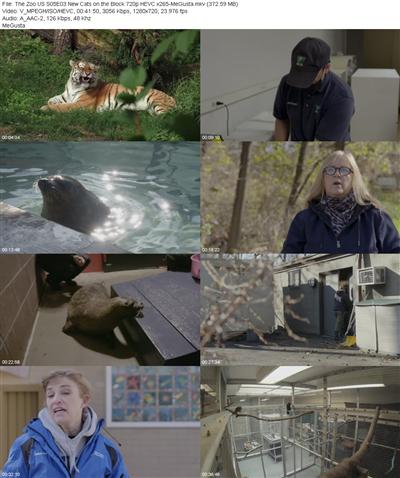 The Zoo US S05E03 New Cats on the Block 720p HEVC x265 