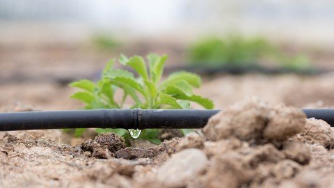 Udemy - Drip Irrigation Design and Installation for Beginners