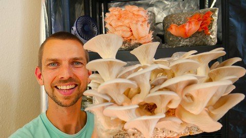 Udemy - Growing Mushrooms Indoors for Business and Pleasure