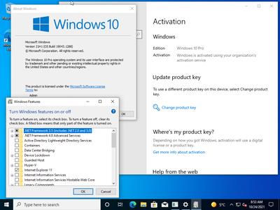 Microsoft Windows 10 21H1 10.0.19043.1288 AIO 32in1 (x86/x64) October 2021 Preactivated
