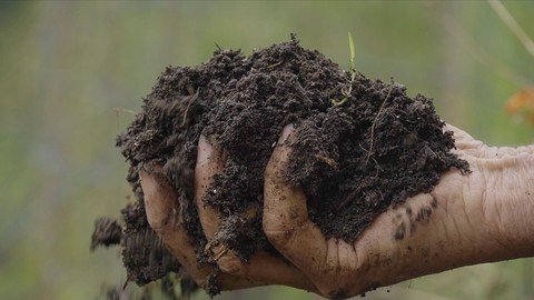 Udemy - Growing Great Compost