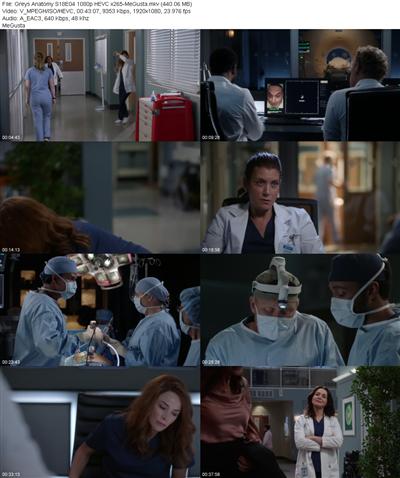 Greys Anatomy S18E04 1080p HEVC x265 