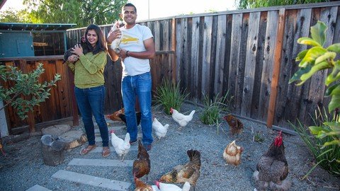 Udemy - Raising Backyard Chickens