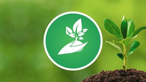 Udemy - Gardening - Indoor Seed Starting Engineered for Simplicity