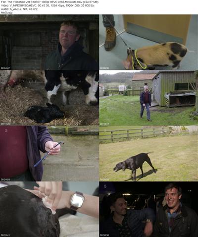 The Yorkshire Vet S13E07 1080p HEVC x265 