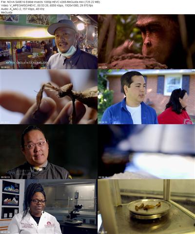 NOVA S48E16 Edible Insects 1080p HEVC x265 