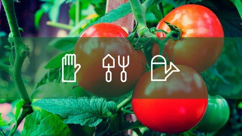 Udemy - Gardening 101 Step by Step From Dream to Harvest!