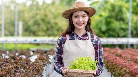 Udemy - Introduction to Hydroponics Gardening