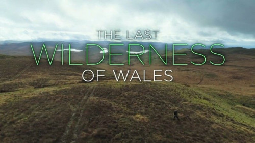 BBC - Iolo The Last Wilderness of Wales (2020)