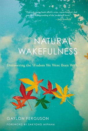 Natural Wakefulness: Discovering the Wisdom We Were Born With