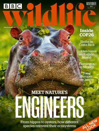 BBC Wildlife   November 2021