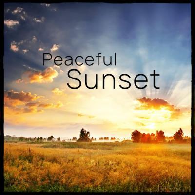 Various Artists   Peaceful Sunset Vol. 4 (2021)