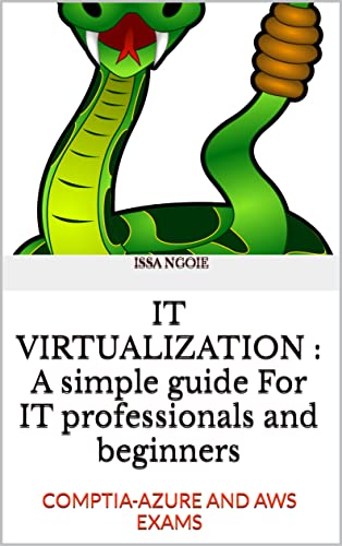 IT VIRTUALIZATION : A simple guide For IT professionals and beginners: COMPTIA AZURE AND AWS EXAMS