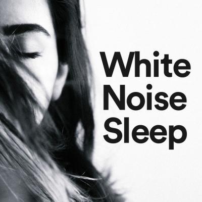 Various Artists   White Noise Sleep (2021)