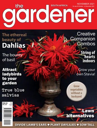 The Gardener South Africa   November 2021