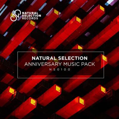 Various Artists   Natural Selection Anniversary Music Pack (2021)
