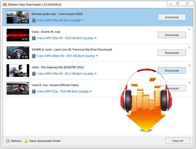 DLNow Video Downloader 1.49.2021.10.22 Multilingual Portable