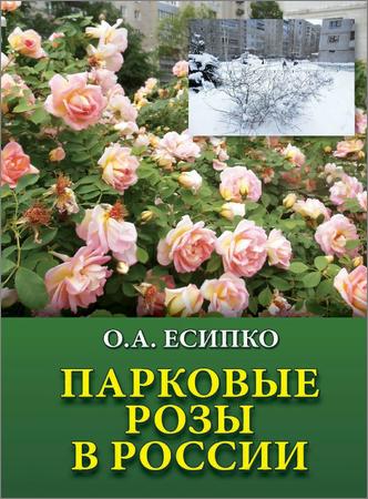 Парковые розы в России